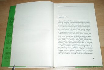 Slovenský čuvač - 3