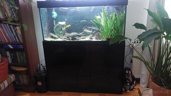 Akvarium - 3