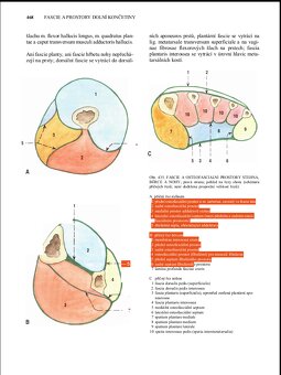 Predám atlas z anatomia knihy | medicina - 3