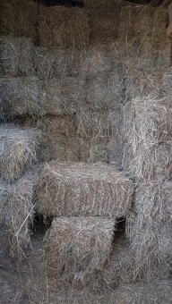 Seno malé balíky - 3