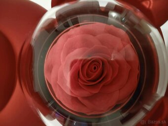 NOVÁ DARČ.SÚPRAVA ŠPERKOVNICA MACKO+ŠPERK+VEČNÁ RUŽA=len 19€ - 3