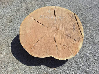 dubové koláče, priečne rezy - 3