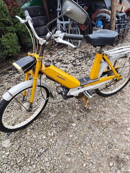 Predám Babety 228 - 3