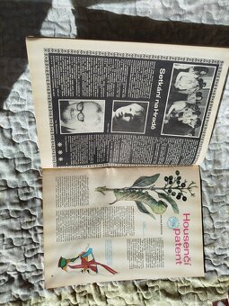 ABC, letadla a ptáci - 1973 - 3