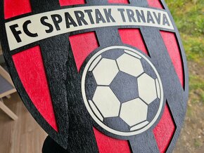 FC SPARTAK TRNAVA drevený 3D obraz - 3