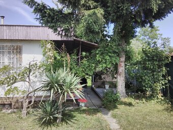 Záhrada v Ružinove - 3