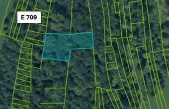 Omastiná – 9.909 m2 LESY a PASIENKY – PREDAJ - 3