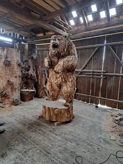 Drevorezba medved z dreva - 3