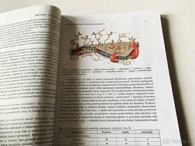 Biofyzika - Vybrané kapitoly - Daniela Uhríková a kolektív - 3