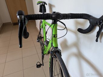 DEMA LEONY 5 2020 - 3