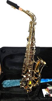 Alt saxofon - 3
