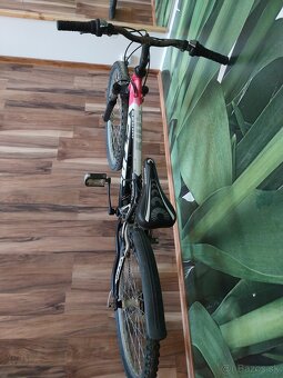 Bicykel 24 palcov - 3