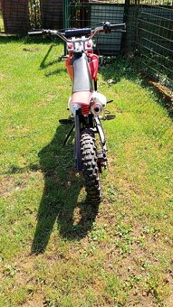Pitbike Ranger 125 cc 17/14 - 3