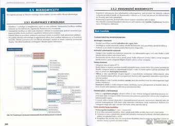 LÉKAŘSKÁ MIKROBIOLOGIE - REPETITORIUM (2020, PDF) - 3