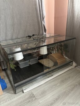 predám terarium - 3