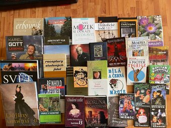 Musica humana,Proryvy,Freud a po Freudovi,Zelený raoul atd - 3