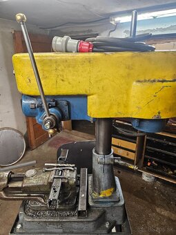 Stojanova Vrtacka jihokov hustopece - 3