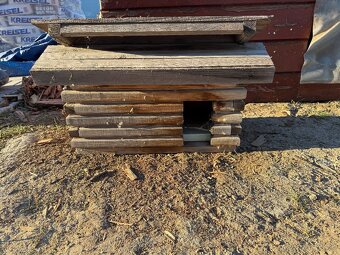 Buda pre psa, macku - 3