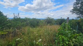 ZĽAVNENÉ • Na predaj záhradka nad golfom v Skalici - Líštiny - 3