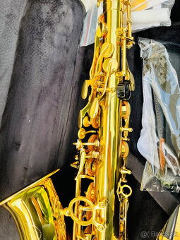 Predám nový Es- Alt saxofón LANG Music instrument - 3
