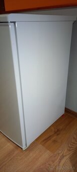 Mraznička gorenje - 3