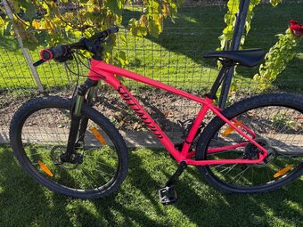Specialized Rockhopper 29 - 3