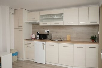 Pekný 1-i byt v s internetom a vlastným parkovaním-centrum - 3