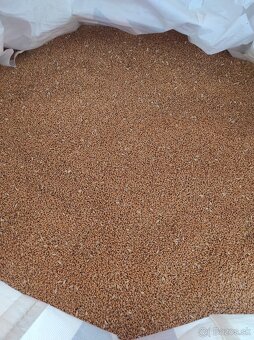 Pšenica, jačmeň - 3