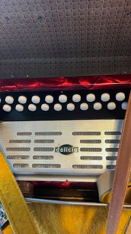 Heligonka - Harmonika Delicia Popular - 3