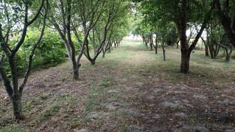 Pozemok pre viac rodinných domov alebo jeden so záhradou - 3