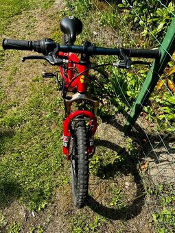 Bicykel Frog - 3