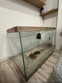 Terarijum - 3