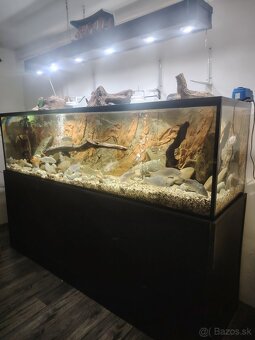 Predám akvárium plus stojan železný - 3
