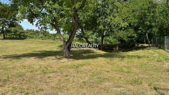 HALO reality - Predaj, rekreačný pozemok Kráľovský Chlmec - - 3