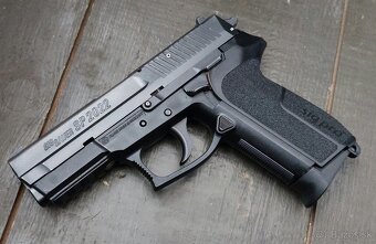 SIG SAUER SP 2022-P228 - 3