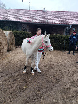 mladá perspektivní pony holčička - 3
