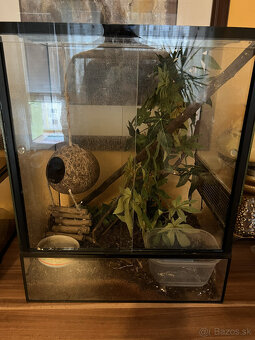 Pagekon riasnaty - 3