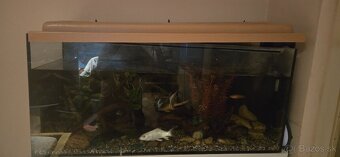 Predám 120l akvarium - 3