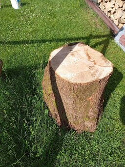 Klat z horského jasena - 3