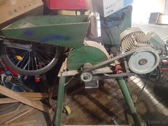 Srotovnik kladivkovy - 3