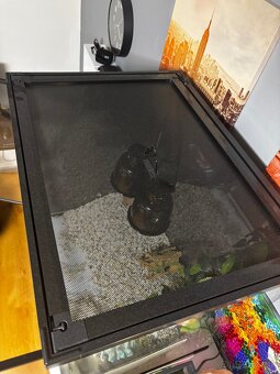 Terárium 60x45x60 - 3