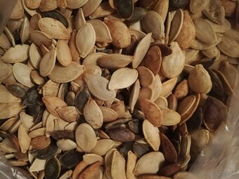 Predám tekvicové jadierka - 3