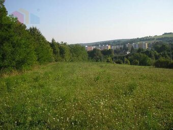 Rekreačný pozemok 5000 m2 Stará Turá - 3