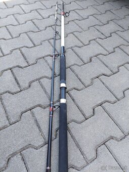 Sumcovy prut - 3
