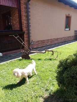 Konský pluh - 3