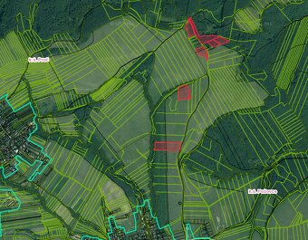 Pušovce – 16.000 m2 ORNÁ PÔDA a LES pri Prešove - 3