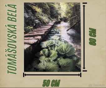 Predám fotobraz Tomašovská Belá
- 3
