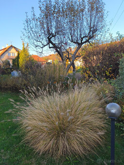 Útulný rodinný dom -Veľké Uherce okr.Partizánske - 3