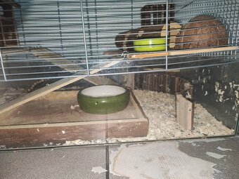 Klietka pre hlodavce - 3