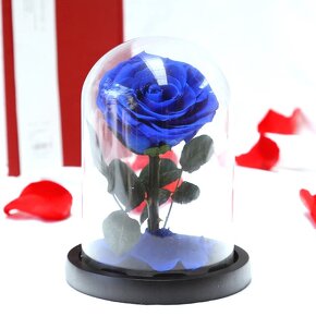 Živá stabilizovaná ruža v skle - "Medium" - viac farieb - 3